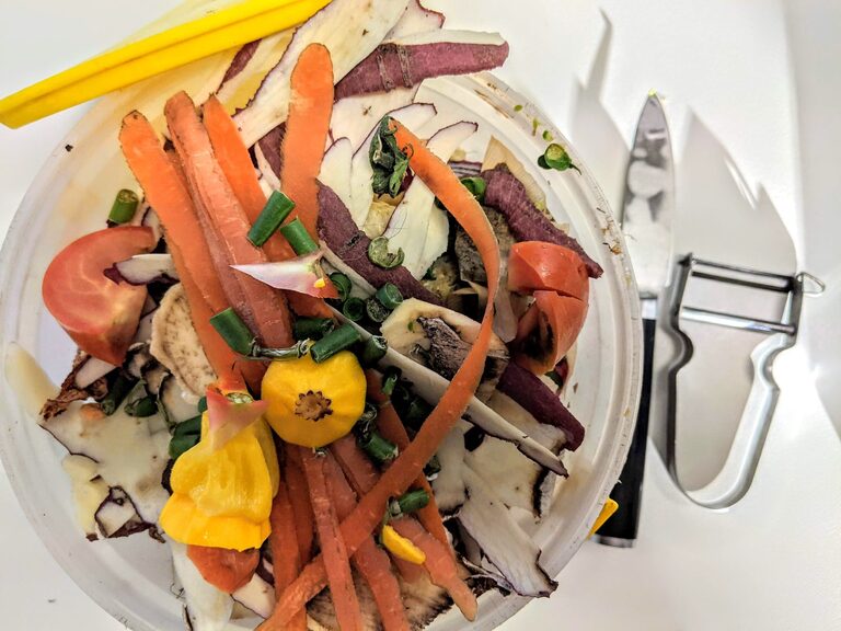 Simple Ways to Reduce Food Waste at Home Every Day